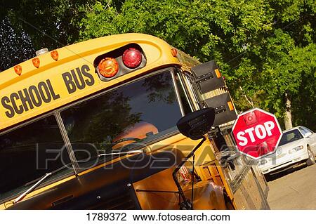 School bus zone View Large Photo Image Stock Image - School bus zone. Fotosearch