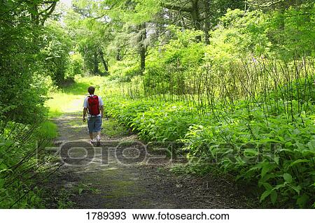Stock Image - Single hiker. Fotosearch