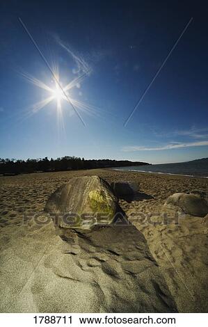 Stock Image - Sun and sandy beach. Fotosearch