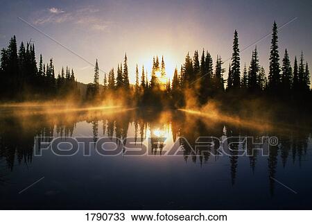 Sunbeams through mist over pond View Large Photo Image Stock Image - Sunbeams through mist over pond. Fotosearch