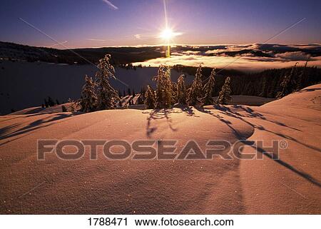 Stock Image - Sunrise over snow-covered trees. Fotosearch