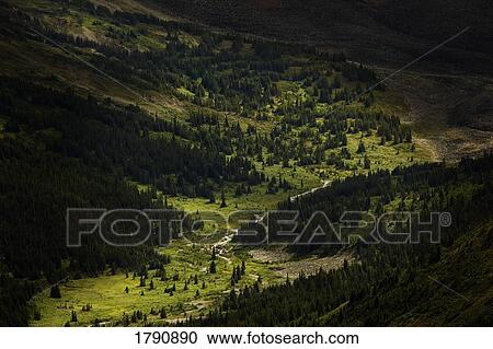 Stock Image - Tree-covered valley. Fotosearch