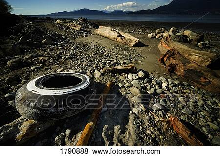 Waste on beach View Large Photo Image Stock Photo - Waste on beach. Fotosearch