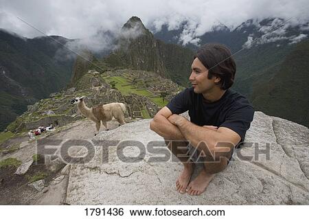 A man and an alpaca at the ancient Inca ruins of Machu Picchu, Peru. View Large Photo Image Stock Photograph - A man and an alpaca at the ancient Inca ruins of Machu Picchu, Peru.. Fotosearch