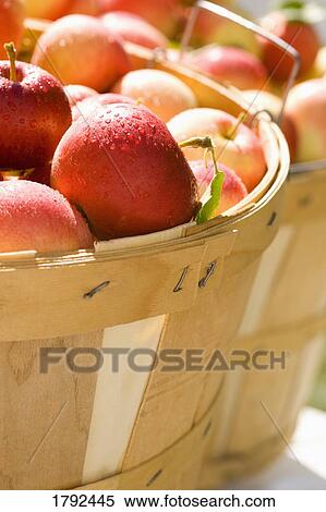 Apples in a basket View Large Photo Image Stock Photography - Apples in a basket. Fotosearch