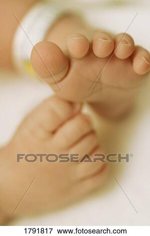 Baby feet View Large Photo Image Stock Photo - Baby feet. Fotosearch