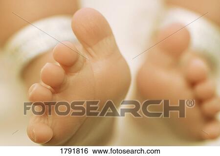 Baby feet View Large Photo Image Stock Photograph - Baby feet. Fotosearch