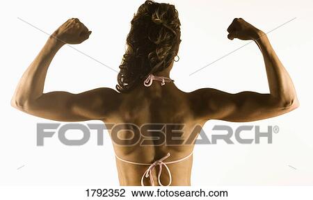 Back of a female bodybuilder View Large Photo Image Stock Image - Back of a female bodybuilder. Fotosearch