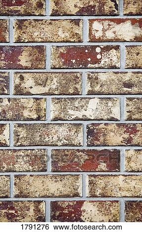Brick wall View Large Photo Image Stock Photograph - Brick wall. Fotosearch