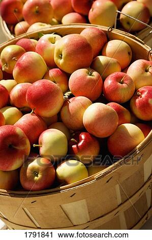 Bushel of apples View Large Photo Image Stock Image - Bushel of apples. Fotosearch
