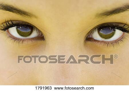 Closeup of woman's eyes View Large Photo Image Stock Image - Closeup of woman's eyes. Fotosearch