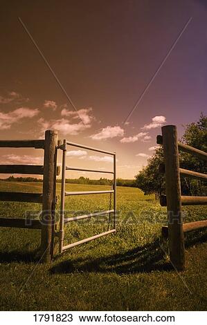Corral gate View Large Photo Image Stock Image - Corral gate. Fotosearch