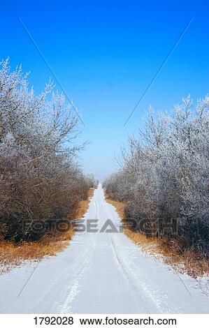 Country lane in the winter View Large Photo Image Stock Photo - Country lane in the winter. Fotosearch