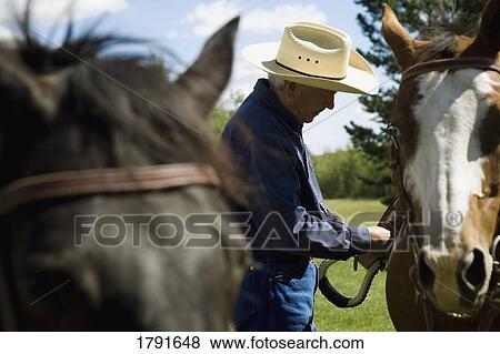 Cowboy and horses View Large Photo Image Stock Photo - Cowboy and horses. Fotosearch