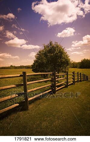 Field View Large Photo Image Stock Image - Field. Fotosearch