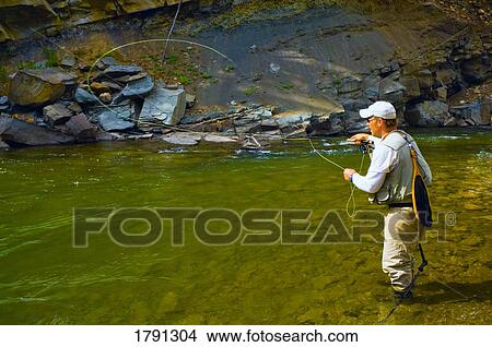 Fly fishing in an Alberta river View Large Photo Image Picture - Fly fishing in an Alberta river. Fotosearch