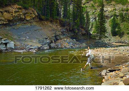 Stock Image - Fly fishing in an Alberta river. Fotosearch
