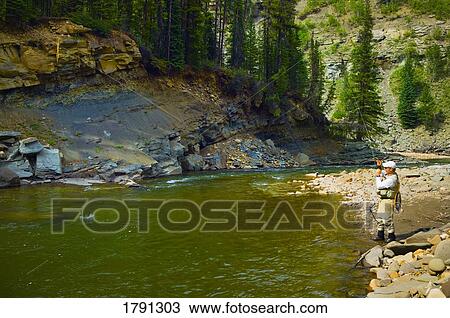 Fly fishing in an Alberta river View Large Photo Image Stock Image - Fly fishing in an Alberta river. Fotosearch