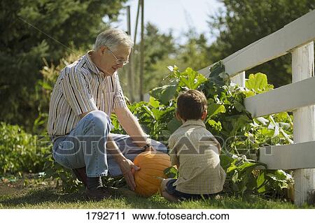 Grandpa and grandson looking at a pumpkin View Large Photo Image Stock Image - Grandpa and grandson looking at a pumpkin. Fotosearch