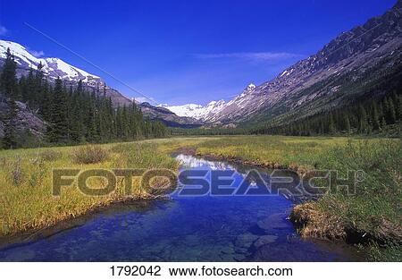 Stock Image - Height of the Rockies Provincial Park. Fotosearch