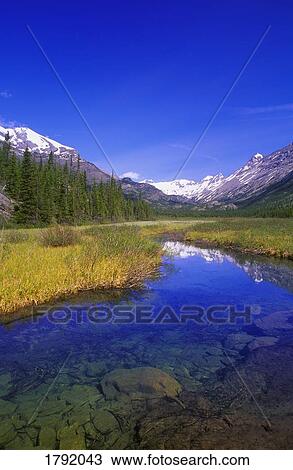 Stock Image - Height of the Rockies Provincial Park. Fotosearch