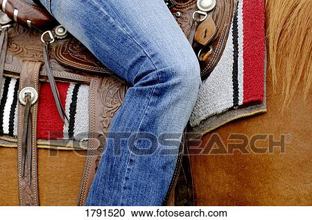 Horse and rider View Large Photo Image Stock Image - Horse and rider. Fotosearch