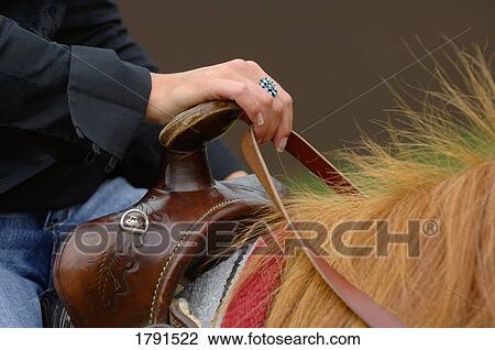 Horse and rider View Large Photo Image Stock Image - Horse and rider. Fotosearch