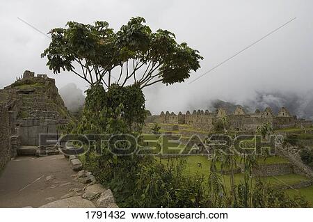 Stock Image - Incan ruins of Machu Picchu in Peru. Fotosearch