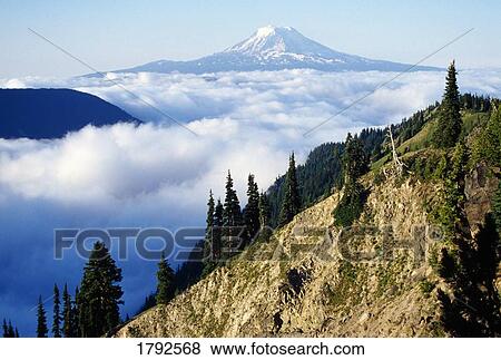 Stock Photo - Mount Adams above cloud-filled valley. Fotosearch