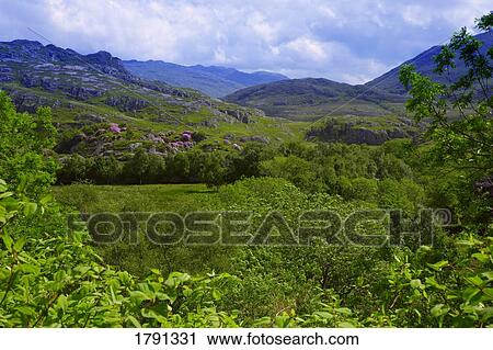 Stock Image - Mountain valley scenic. Fotosearch