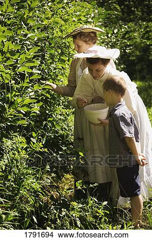 Picking berries View Large Photo Image Picture - Picking berries. Fotosearch