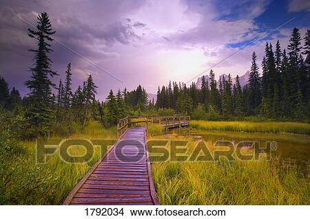 Picture - Policeman's Creek in Alberta. Fotosearch