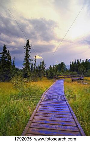 Stock Photography - Policeman's Creek in Alberta. Fotosearch