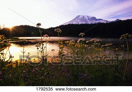 Stock Photography - Reflection Lake with Mt. Hood in the distance. Fotosearch