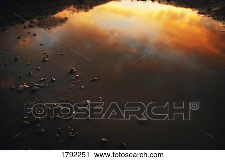 Reflection of sky in puddle View Large Photo Image Stock Image - Reflection of sky in puddle. Fotosearch