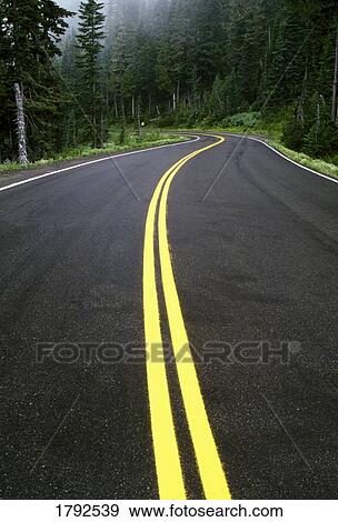 Stock Photo - Road winding through misty forest. Fotosearch