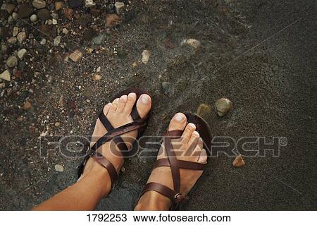Sandaled feet on shore View Large Photo Image Stock Image - Sandaled feet on shore. Fotosearch