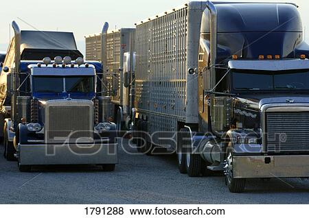 Semi-trailer trucks View Large Photo Image Stock Photo - Semi-trailer trucks. Fotosearch