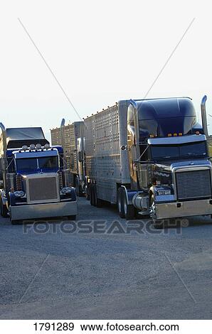 Semi-trailer trucks View Large Photo Image Stock Photo - Semi-trailer trucks. Fotosearch