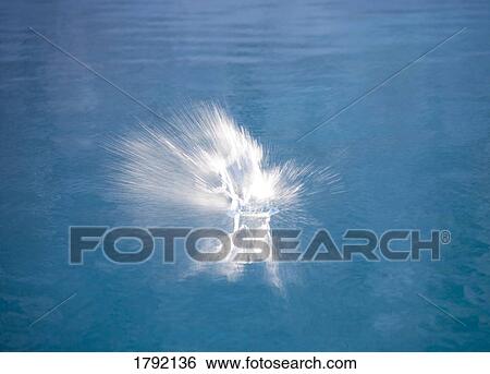Stock Photograph - Splash in water. Fotosearch