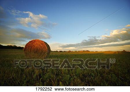 Stock Image - Straw bale in field. Fotosearch
