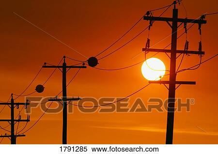 Telephone poles in sunset View Large Photo Image Stock Photography - Telephone poles in sunset. Fotosearch