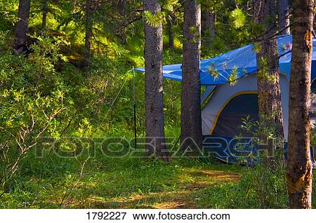 Tent in campsite View Large Photo Image Stock Photo - Tent in campsite. Fotosearch