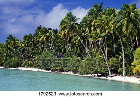 Tropical landscape View Large Photo Image Stock Image - Tropical landscape. Fotosearch