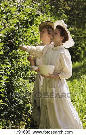 Women picking berries in old-fashioned clothing View Large Photo Image Stock Image - Women picking berries in old-fashioned clothing. Fotosearch