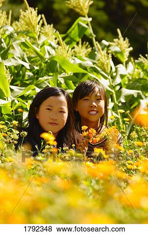 Young girls in field View Large Photo Image Stock Photo - Young girls in field. Fotosearch