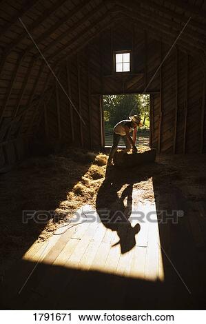 Young man moving bale of hay in barn View Large Photo Image Stock Image - Young man moving bale of hay in barn. Fotosearch