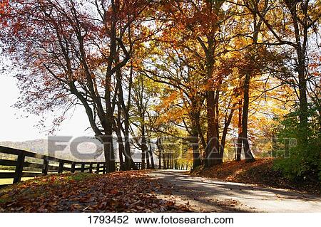 Autumn path View Large Photo Image Stock Image - Autumn path. Fotosearch