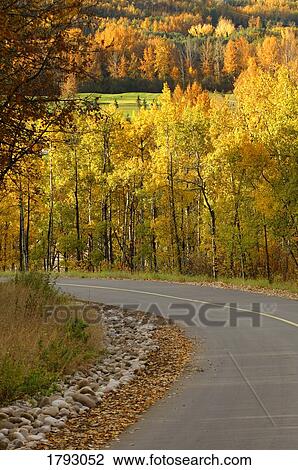 Stock Image - Autumn scene. Fotosearch