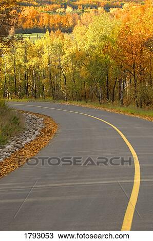 Stock Image - Autumn scene. Fotosearch